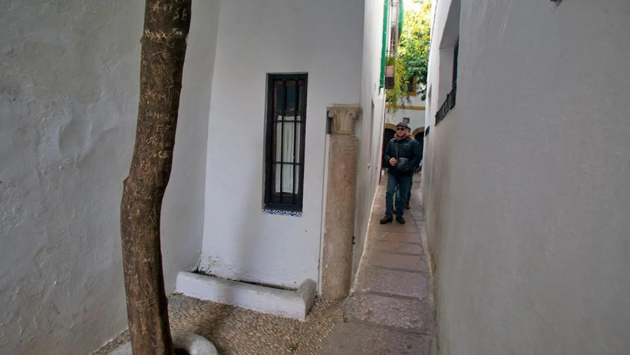 Atico Con Terraza Paseo De La Ribera Apartment Cordoba